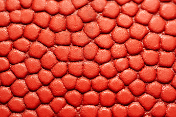 Image showing Basketball texture