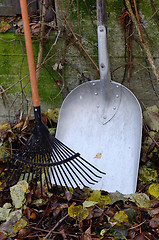 Image showing autumn still life, rake, shovel, and leaves