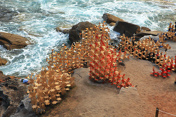 Image showing Sculpture by the Sea exhibit at Bondi, Australia