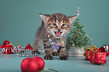 Image showing small  kitten among Christmas stuff