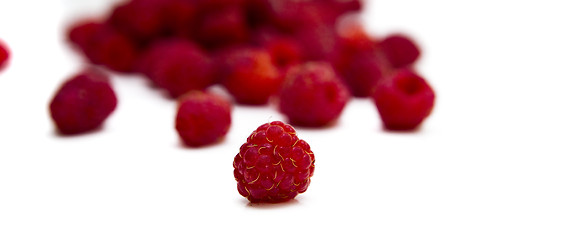 Image showing Raspberries