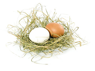 Image showing eggs