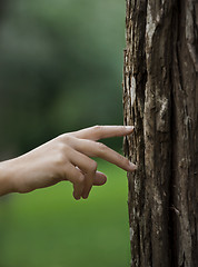 Image showing Hand walking