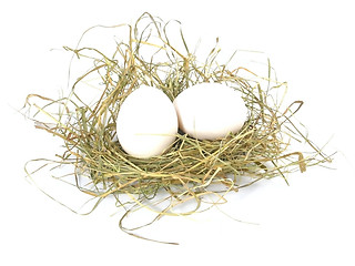 Image showing eggs