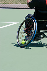 Image showing Wheelchair Tennis Player