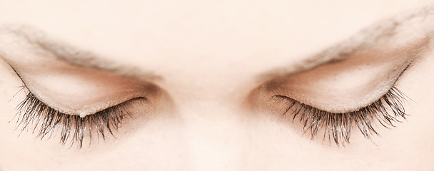 Image showing lashes