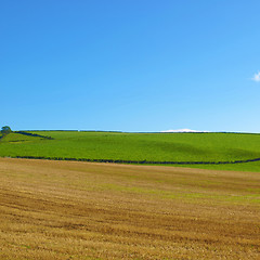 Image showing Cardross hill panorama