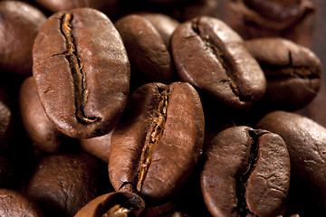 Image showing coffee beans