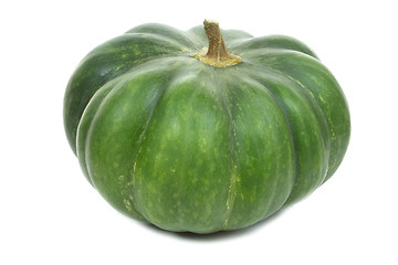 Image showing Squash