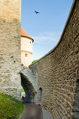 Image showing Park at medieval towers of Tallinn