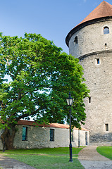 Image showing Park at medieval towers of Tallinn
