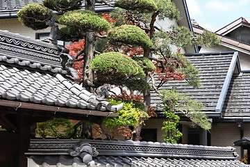 Image showing Architecture in Japan
