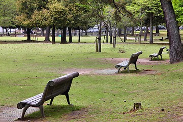 Image showing Nara Park