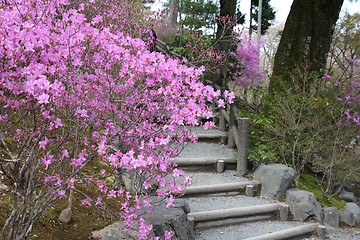 Image showing Garden in Japan