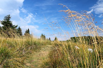 Image showing Romania nature