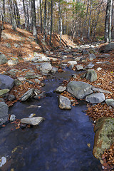 Image showing Autumn Colors