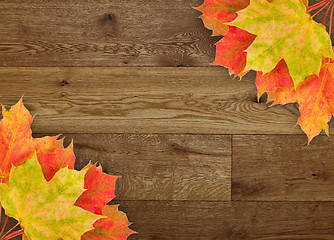 Image showing leaves, fall, wood