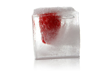 Image showing fruit in ice cube