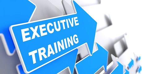 Image showing Executive Training on Blue Arrow.