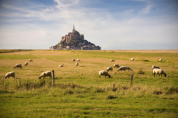 Image showing Le Mont-Saint-Michel and sheeps