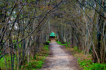 Image showing Road to Home