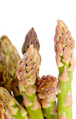 Image showing Asparagus Sprouts