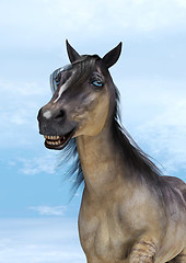 Image showing Smiling Horse