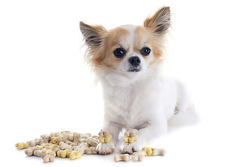 Image showing chihuahua and dog food