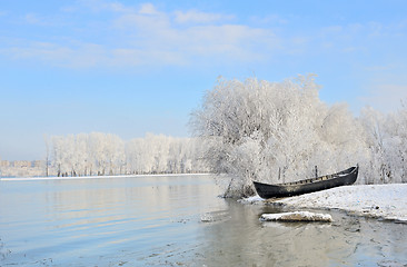 Image showing Frosty winter trees near Danube river