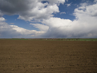 Image showing Plowed Field