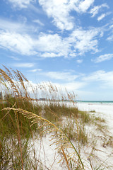 Image showing Siesta Key Florida