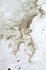 Image showing Toxic Oil Spill Washup