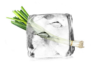 Image showing leek in ice cube