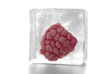 Image showing fruit in ice cube