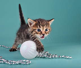 Image showing small  kitten among Christmas stuff