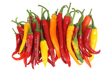 Image showing Peppers