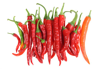 Image showing Peppers