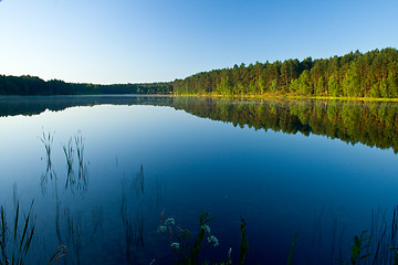 Image showing Landscape at the lake