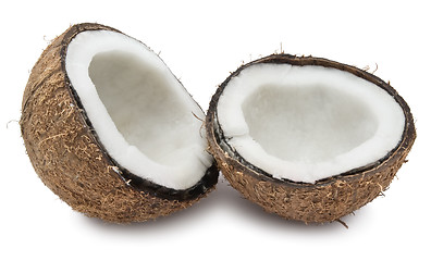 Image showing Coconut