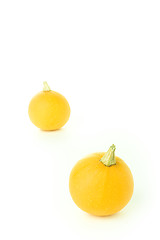 Image showing Two pumpkins