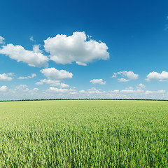 Image showing green field and clouds on blue sky