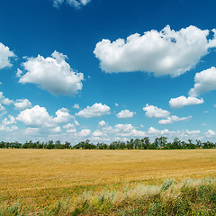 Image showing rural landscape under cloudy sky