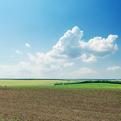 Image showing plowed field in spring under cloudy sky