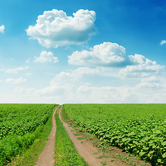 Image showing road in green field under cloudy sky