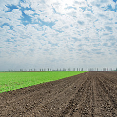 Image showing plowed and green fields under cloudy sky