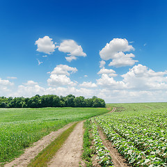 Image showing dirty road in green fields under cloudy sky