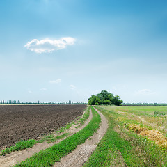 Image showing dirty road to horizon in agriculture fields under blue sky