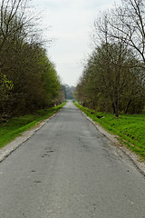 Image showing asphalt road