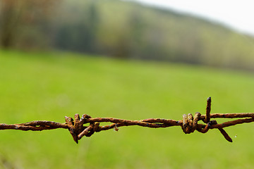 Image showing barbed wire fence