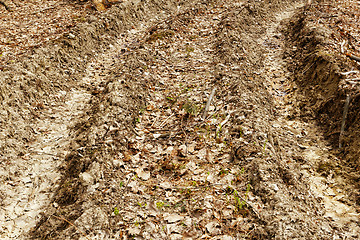 Image showing truck wheel track in the mud